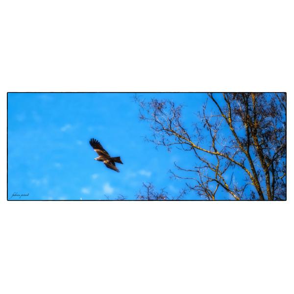 PHOTO84, CLUB, 84 , LUBERON